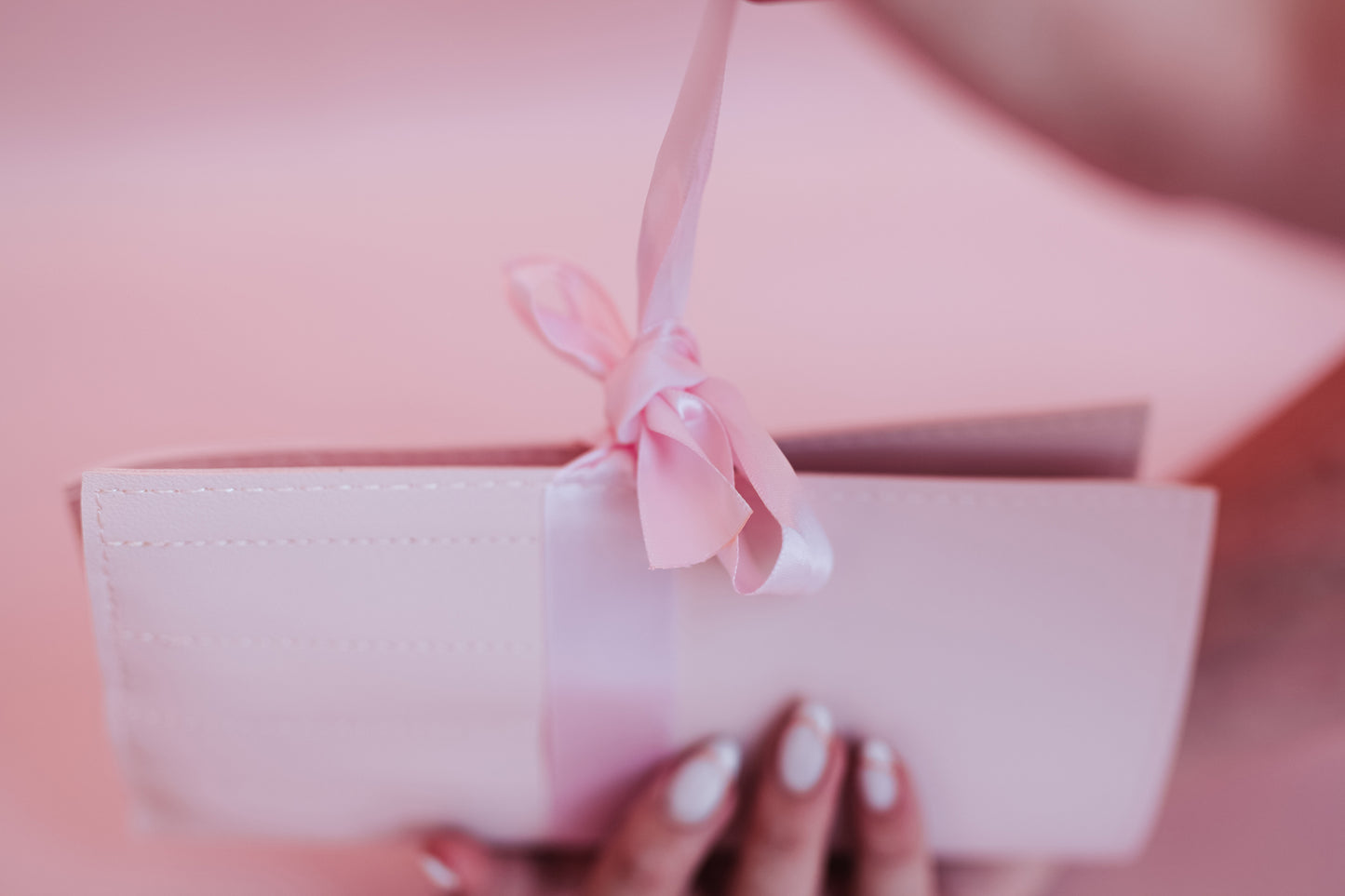 Blush Pink Brush Set with Pink Storage Bag